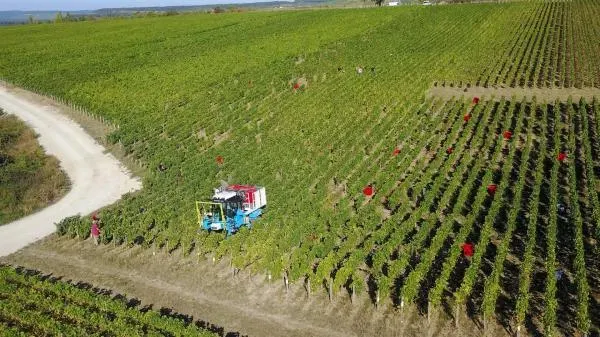 livraison de champagne à domicile près de Saint-Laurent-du-Var