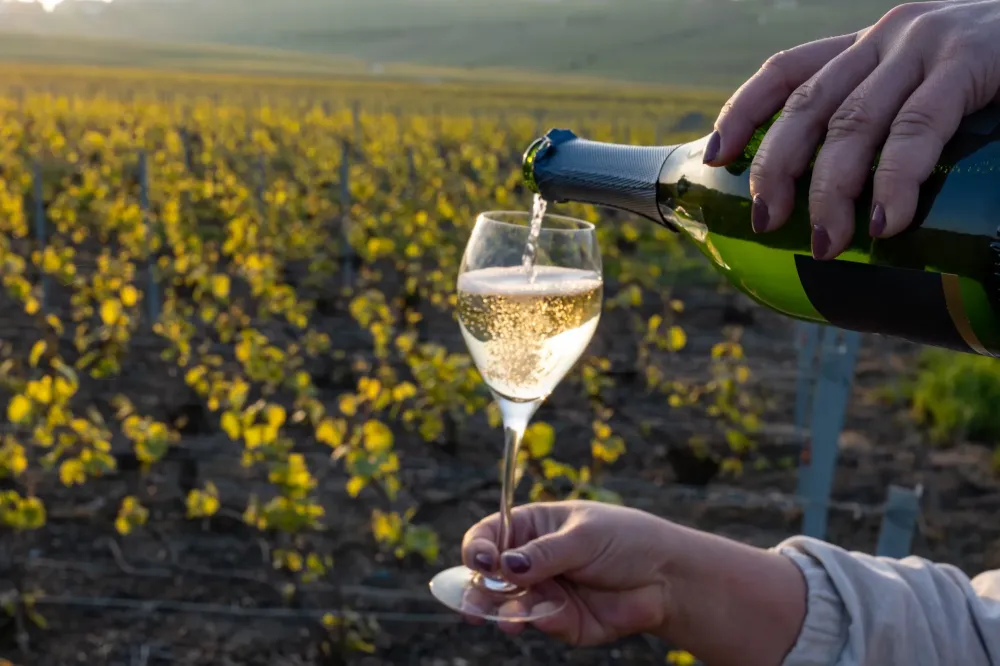 champagne près de Saint-Laurent-du-Var